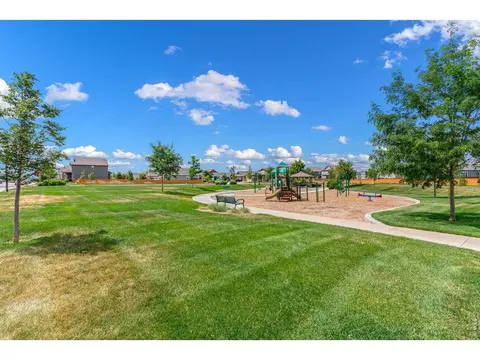 View/Area - 1279 Baker Pass St, Windsor, CO 80550 photo 5 of 7
