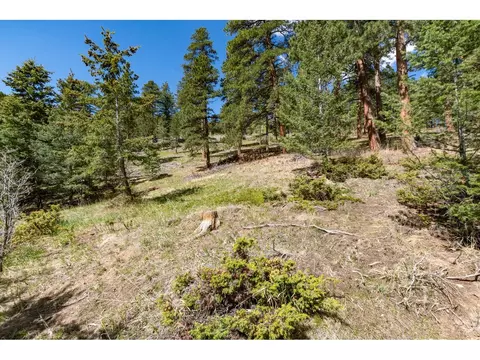 Other - 9701 City View Dr, Morrison, CO 80465 photo 6 of 10