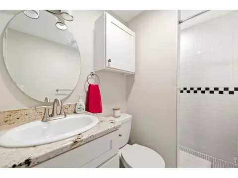 135 Sunflower Dr, Windsor, CO 80550 photo 18