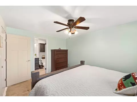 135 Sunflower Dr, Windsor, CO 80550 photo 24