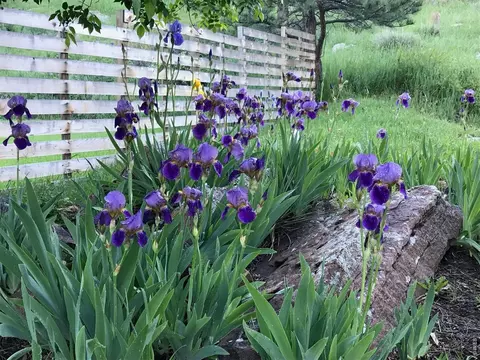 Exterior - 1254 Lee Hill Dr, Boulder, CO 80302 photo 5 of 7