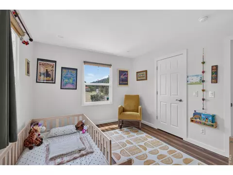 Bedroom - 109 Button Rock Rd, Lyons, CO 80540 photo 2 of 7