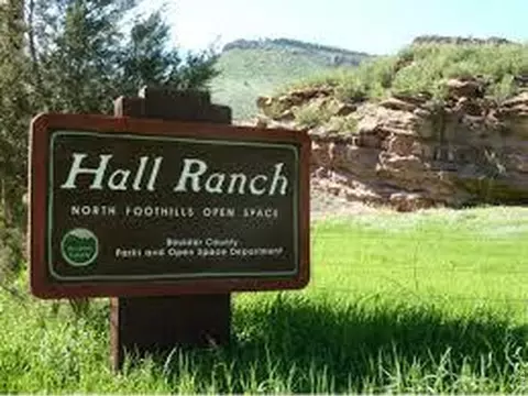 346 Mcconnell Dr, Lyons, CO 80540 photo 19