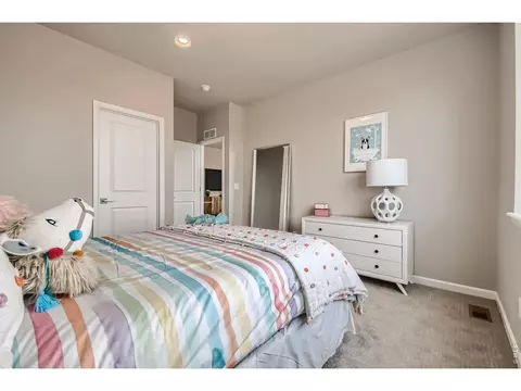 233 Sugar Beet Ln, Berthoud, CO 80513 photo 25