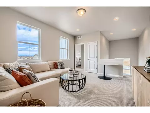 233 Sugar Beet Ln, Berthoud, CO 80513 photo 33