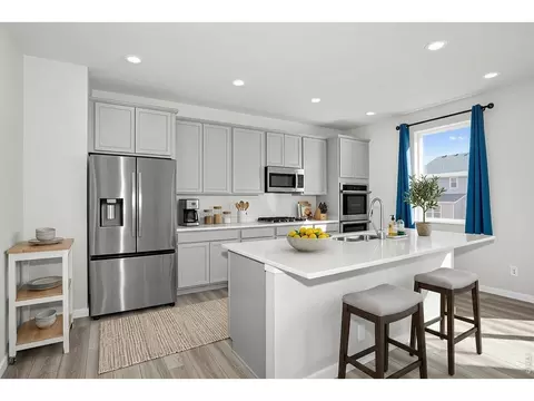 864 Forest Canyon Rd, Severance, CO 80550 photo 5