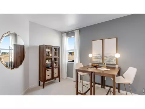 Other - 1439 Mullers Dr, Windsor, CO 80550 photo 2 of 5
