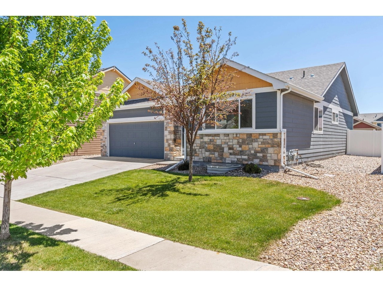 843 Sunlight Peak Dr, Severance, CO 80550 photo 4