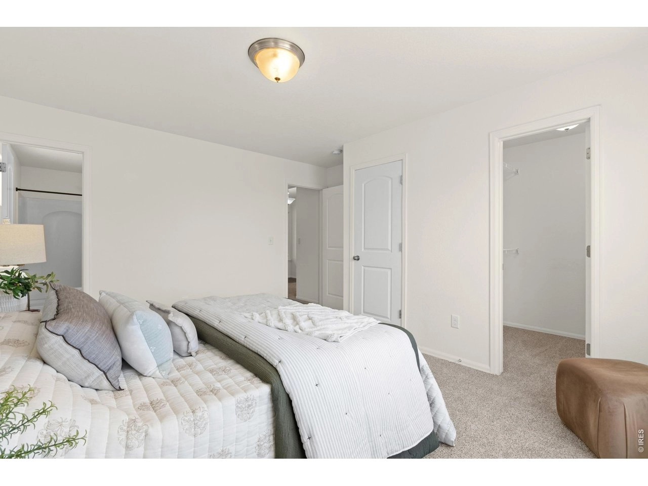 843 Sunlight Peak Dr, Severance, CO 80550 photo 20