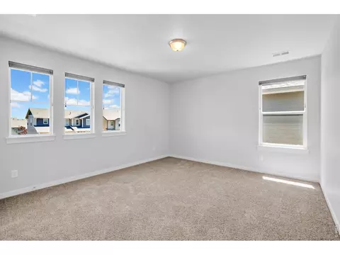 2104 Gather Ct, Windsor, CO 80550 photo 23