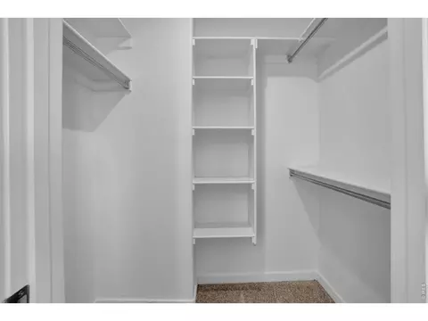 2104 Gather Ct, Windsor, CO 80550 photo 22
