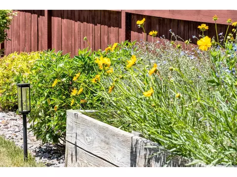 2104 Gather Ct, Windsor, CO 80550 photo 37