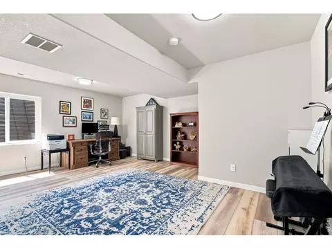 Other - 867 Sunlight Peak Dr, Severance, CO 80550 photo 7 of 8