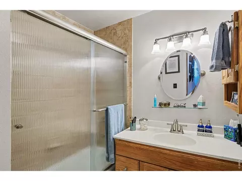 Bath - 717 Shipman Mountain Ct, Windsor, CO 80550 photo 1 of 2