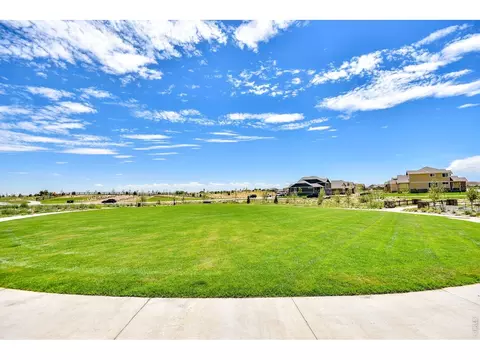 Other - 817 Shade Tree Dr, Windsor, CO 80550 photo 7 of 7