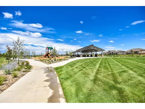 View/Area - 817 Shade Tree Dr, Windsor, CO 80550 photo 9 of 9