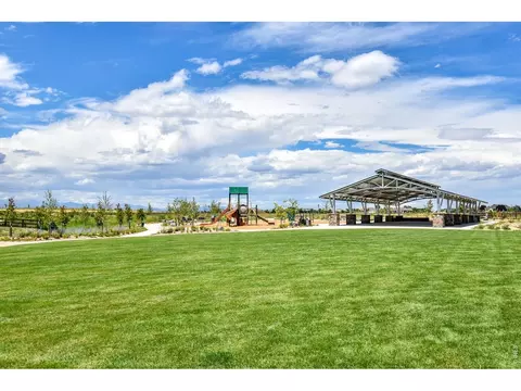 View/Area - 817 Shade Tree Dr, Windsor, CO 80550 photo 8 of 9