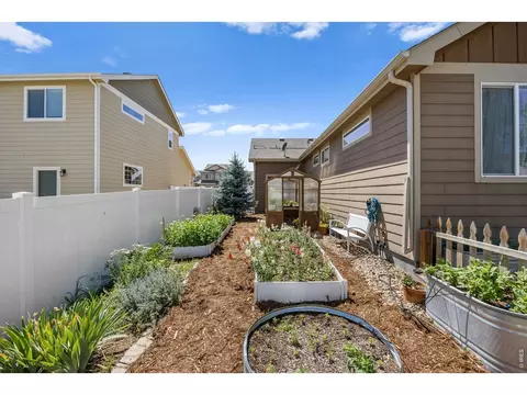 Exterior - 438 Ptarmigan St, Severance, CO 80550 photo 10 of 12