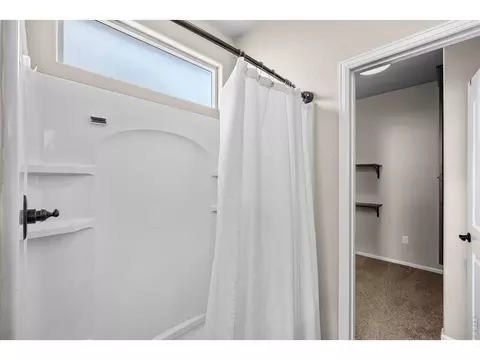 Bath - 438 Ptarmigan St, Severance, CO 80550 photo 3 of 4