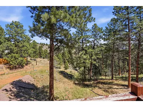 Other - 280 Bunny Rd, Bailey, CO 80421 photo 5 of 9