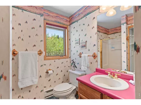 Bath - 625 Pine Cone Cir, Ward, CO 80481 photo 1 of 2