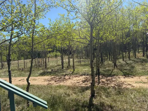 Other - 625 Pine Cone Cir, Ward, CO 80481 photo 2 of 7