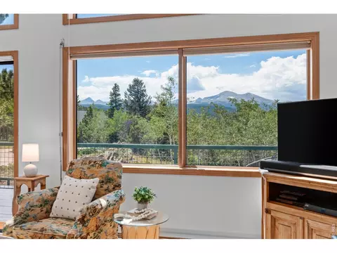 Living - 625 Pine Cone Cir, Ward, CO 80481 photo 4 of 4