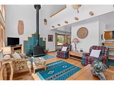 Living - 625 Pine Cone Cir, Ward, CO 80481 photo 3 of 4