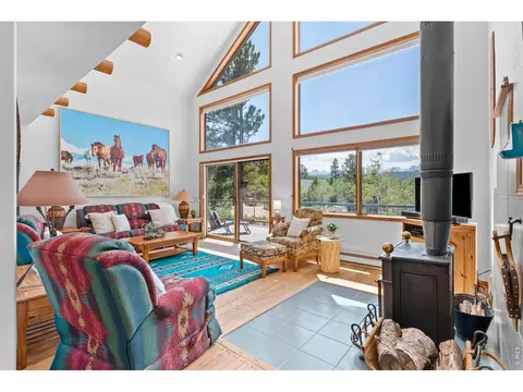 Living - 625 Pine Cone Cir, Ward, CO 80481 photo 2 of 4