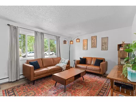 Living - 927 E 4th Ave, Longmont, CO 80504 photo 2 of 6