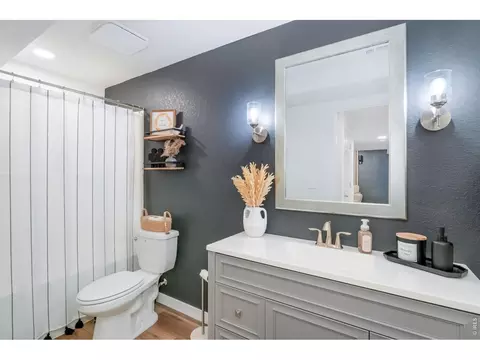 Bath - 938 Scotch Pine Dr, Severance, CO 80550 photo 4 of 4