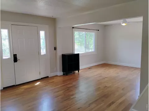 Living - 217 5th Ave, Lyons, CO 80540 photo 4 of 4