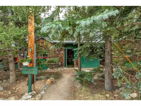 650 W Pine St, Nederland, CO 80466