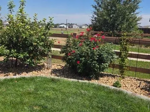 Exterior - 2005 Saddleback Dr, Milliken, CO 80543 photo 12 of 12