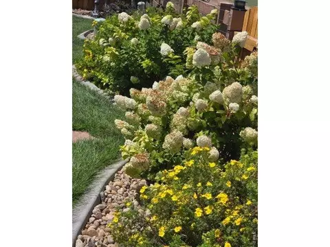 Exterior - 2005 Saddleback Dr, Milliken, CO 80543 photo 11 of 12