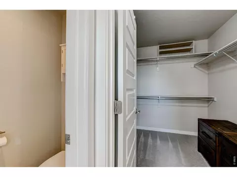 Other - 2137 Honeybee Dr, Windsor, CO 80550 photo 7 of 11