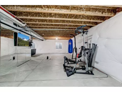 Other - 2137 Honeybee Dr, Windsor, CO 80550 photo 9 of 11