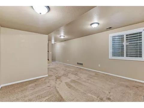 Living - 894 Durum St, Windsor, CO 80550 photo 6 of 6