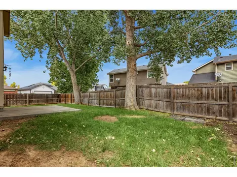 Exterior - 894 Durum St, Windsor, CO 80550 photo 4 of 4