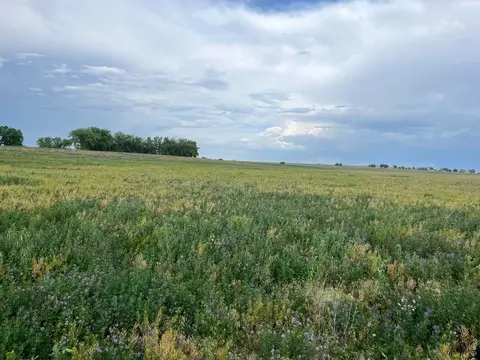 0 County Road 33, Platteville, CO 80651