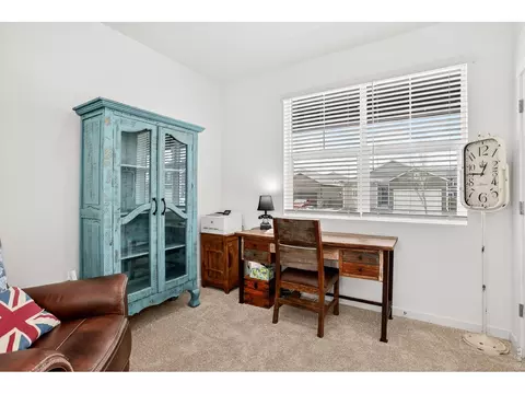 Other - 826 Elias Tarn Dr, Severance, CO 80550 photo 4 of 8