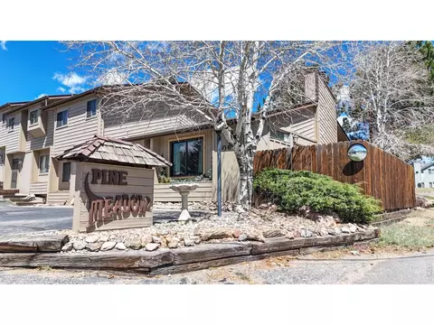 506 Grand Estates Dr #E, Estes Park, CO 80517