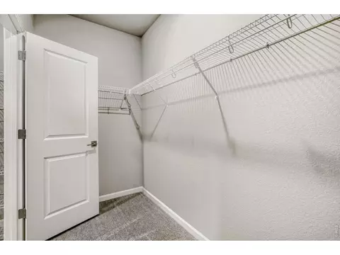 Other - 648 Noola St, Windsor, CO 80550 photo 2 of 5