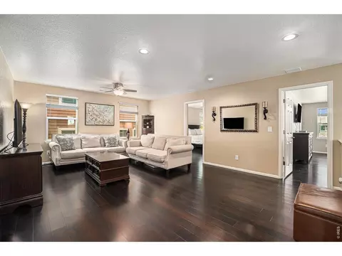Living - 2163 Longfin Dr, Windsor, CO 80550 photo 3 of 6