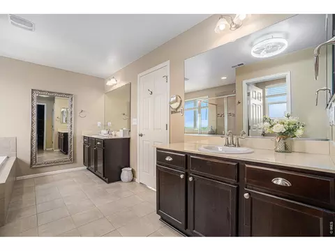Bath - 2163 Longfin Dr, Windsor, CO 80550 photo 3 of 6