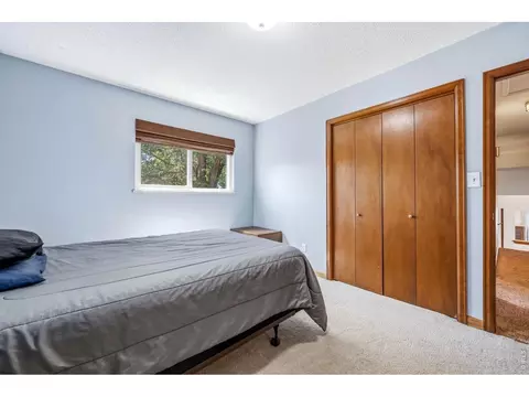 Bedroom - 2701 Martingale Dr, Berthoud, CO 80513 photo 8 of 8