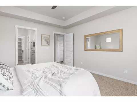 Bedroom - 4908 Romney Lock Dr, Windsor, CO 80550 photo 2 of 5