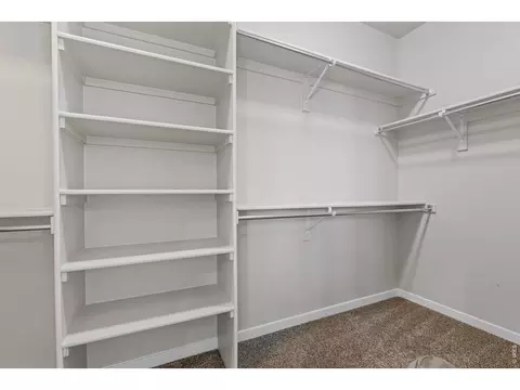 Other - 4908 Romney Lock Dr, Windsor, CO 80550 photo 1 of 10