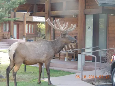 1565 Highway 66 # 49, Estes Park, CO 80517