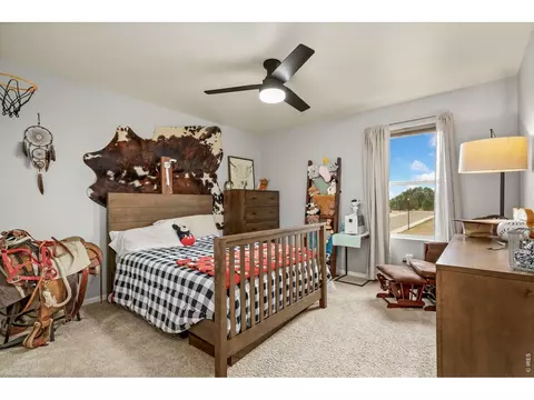 Bedroom - 323 Central Ave, Severance, CO 80550 photo 3 of 6